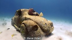 Sunken Treasure! A Volkswagen Beetle on the ocean floor i... by Steve Dolan 